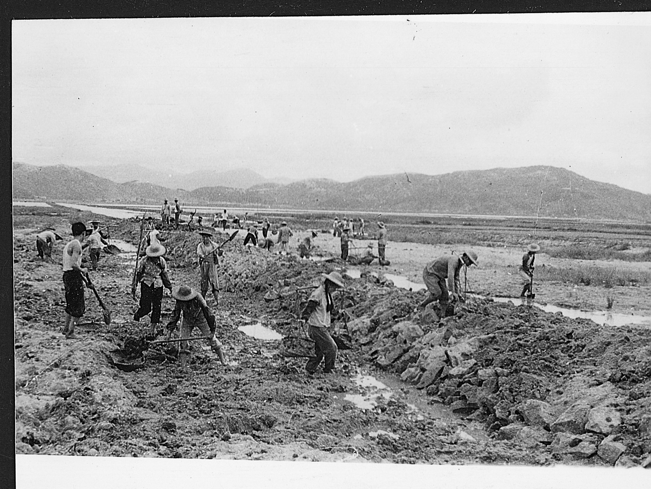 荒凉滩涂变良田       围垦完成后